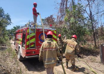 Disdamkartan Bontang Bakal Rekrut 100 Personel Pakai Skema PJLP