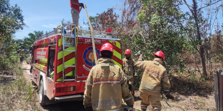 Disdamkartan Bontang Bakal Rekrut 100 Personel Pakai Skema PJLP