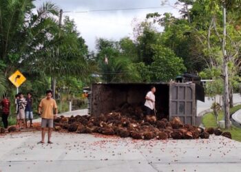 Truk Bermuatan Sawit Terbalik di Median Jalan Soekarno-Hatta Bontang Utara