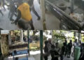 Polisi Bakal Panggil Pelaku Kekerasan yang Terekam CCTV dalam Kasus Maling Mangga di Bontang