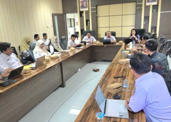 Bapperida Koordinasikan Penyusunan Perwali Literasi dan Numerasi Bersama Tanoto Foundation